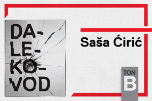 Saša Ćirić: Dalekovod