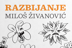 Miloš Živanović: Razbijanje