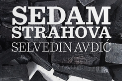 Selvedin Avdić: Sedam strahova