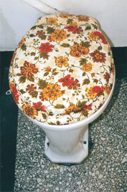 Flower Power Flower Power