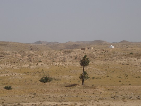 sahara