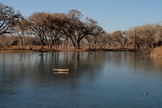 Winter_Ponds_along_Rio_Grande_River_Albuquerque