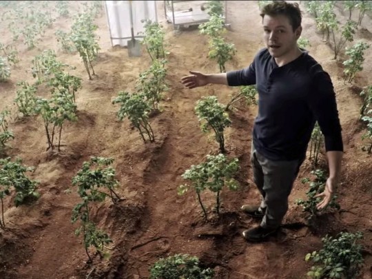 could-we-really-mix-feces-into-martian-dirt-and-grow-potatoes